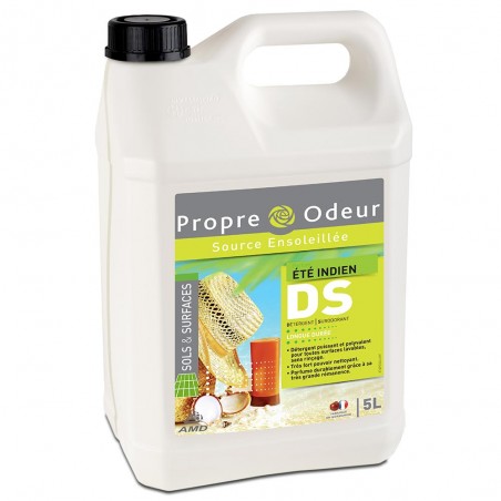 DS ETE INDIEN