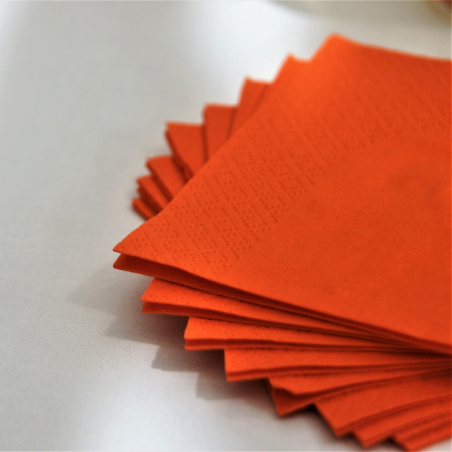 SERVIETTE DE TABLE - OUATE 40x40cm