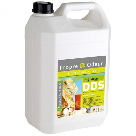 DDS ETE INDIEN