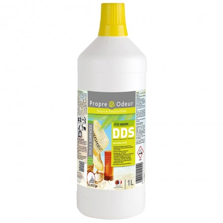 DDS ETE INDIEN